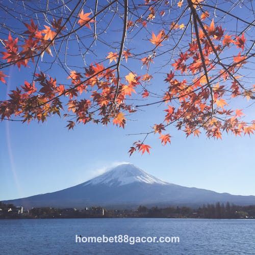 Avatar da jogadora Isabela